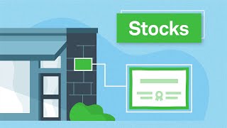 Investing Basics Stocks [upl. by Hillie]