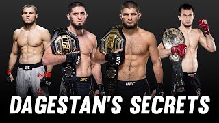 Dagestans MMA Training Secrets Revealed SampC Breakdown [upl. by Lyndell520]