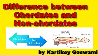 Difference between chordates and non chordates [upl. by Inahs]