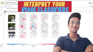Interpret amp Visualize Your Image Classification Models Python Tutorial [upl. by Amity778]