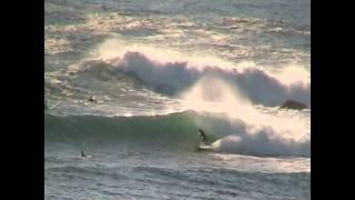 CENTRAL COAST  TERRIGAL HAVEN  BIG  SURF [upl. by Yhtimit]