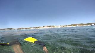 snorkeling  Rottnest Island parker point [upl. by Lilith]