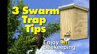 3 Tips for hanging honey bee swarm traps [upl. by Desai]