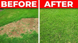 How to Fix a Bare Spot in the Lawn  3 Tips for Fast Repair [upl. by Kooima]