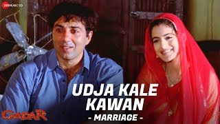 Gadar  Udd Ja Kaale Kanwan Marriage  Full Song Video  Sunny Deol  Ameesha Patel  HD [upl. by Cantlon]