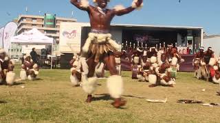 Kangaroo Zulu Dancers [upl. by Faxen]