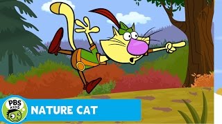 NATURE CAT  Its Nature Art Day  PBS KIDS [upl. by Asus]