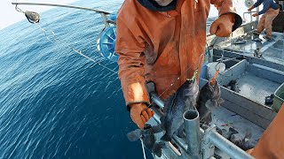 Breaking In The Deckhand  Jigging Rockfish in Alaska [upl. by Selrhc]