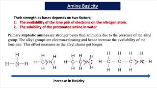 The Basicity of Amines A2 Chemistry [upl. by Kong]