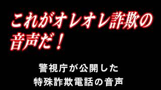 これがオレオレ詐欺の音声だ！ 警視庁が特殊詐欺電話の音声を公開 [upl. by Song]