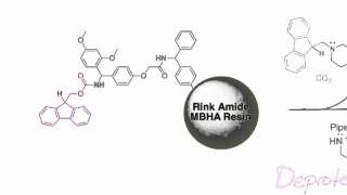 Fmoc Solid Phase Peptide Synthesis [upl. by Shugart]