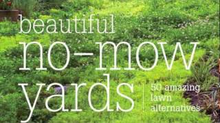 Beautiful NoMow Yards 50 Amazing Lawn Alternatives [upl. by Helena991]