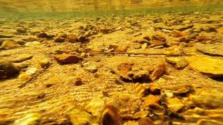 WadeFishing the Upper Meramec River for Smallmouth  St James MO [upl. by Oznecniv]