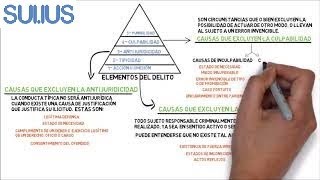 EXIMENTES DE LA RESPONSABILIDAD PENAL TIPOS Y CONSECUENCIAS [upl. by Gustafsson515]