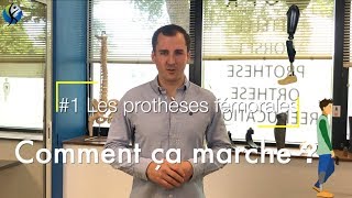 Comment ça marche 2 Les prothèses fémorales [upl. by Grubman]