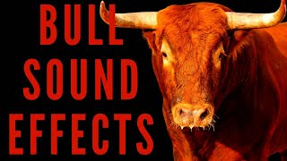 BULL SOUND EFFECTS  How Do Bull Sounds [upl. by Euqilegna598]