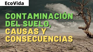 CONTAMINACIÓN del SUELO ✅ CAUSAS CONSECUENCIAS y SOLUCIONES [upl. by Mackler]