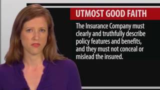 3 Legal Concepts of the Insurance Contract [upl. by Mick]