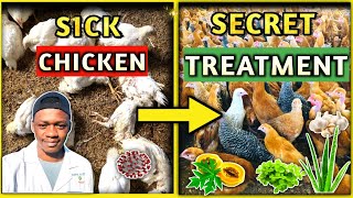 Common Chicken Diseases Prevention And Treatment [upl. by Cartwell756]