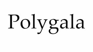 How to Pronounce Polygala [upl. by Afra692]