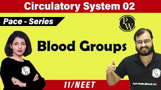 Circulatory System 02  Blood Groups  Class 11 NEET  PACE SERIES [upl. by Rosene]