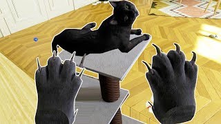 WHAT ITS LIKE TO BE A CAT IN VR  Catify VR Gameplay HTC VIVE [upl. by Bathesda]