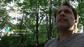 Cours 3  Intuition induction déduction abduction [upl. by Linsk848]