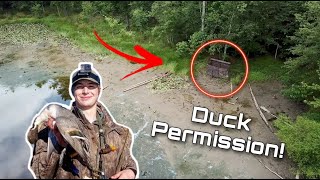 Planting Japanese Millet For Ducks Part 1  Getting Started [upl. by Donavon]