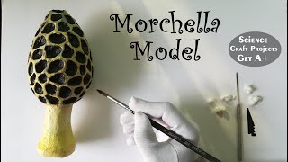 Making Morchella Mushroom [upl. by Ginzburg]