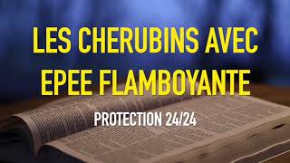 LES CHERUBINS AVEC EPEE FLAMBOYANTE PROTECTION 2424 [upl. by Lekcar916]