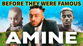 Amine Fun Facts and Trivia [upl. by Ylrad]