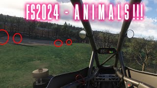 Finding ANIMALS in MSFS2024 [upl. by Refinneg]