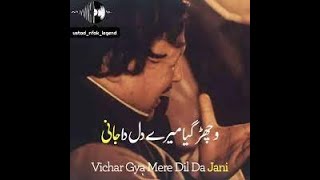 Vichar gya mery dil da jani nusrat fatheh Ali Khan [upl. by Aneehsirk327]