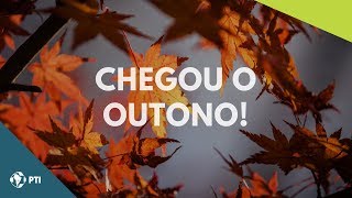 Chegou o outono [upl. by Tearle]