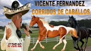 Vicente Fernandez Mix 2017 Corridos De Caballos Mix 2017 [upl. by Airednaxela876]