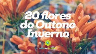 20 flores do OutonoInverno [upl. by Sholeen14]