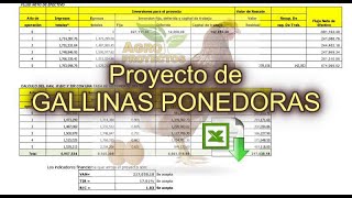 GALLINAS PONEDORAS  Corrida Financiera GRATIS  Proyectos Productivos [upl. by Erdna]