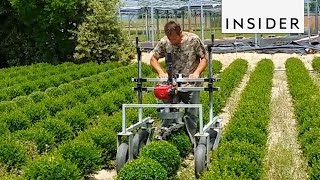 7 Agricultural Inventions You Need In Your Life [upl. by Mashe152]