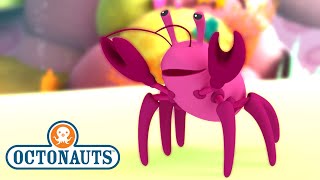 ​Octonauts  The Hermit Crab  Full Episode 12  Kidzuko [upl. by Gerrilee941]