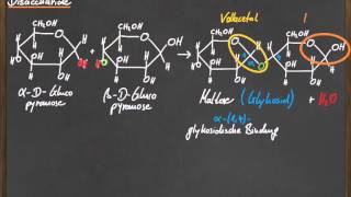 Q 11 Disaccharide [upl. by Petit187]