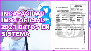 Incapacidad Oficial IMSS México 2025 [upl. by Siger]