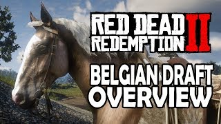 Red Dead Redemption 2 Horses  Belgian Draft Overview [upl. by Ytrebil]