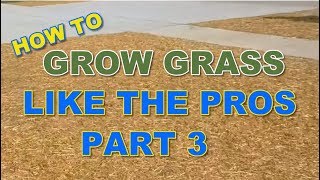 How to Grow Grass Like the Pros  Part 3 [upl. by Tammie]