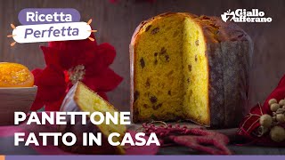 PANETTONE CON LIEVITO DI BIRRA  Fatto in casa spiegato passo passo [upl. by Retsevlis436]