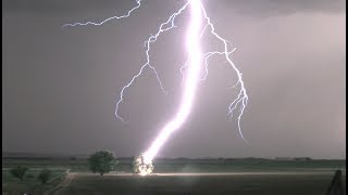 Lightning Striking Tree in 4K  Tree Catches on Fire [upl. by Irehc98]