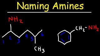 Naming Amines  IUPAC Nomenclature amp Common Names [upl. by Enila]