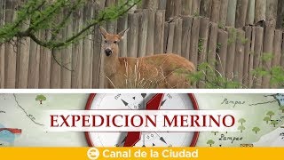 Visitamos el Bioparque Temaikèn en Expedición Merino [upl. by Niveg]