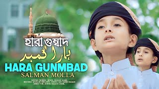 Hara Gumbad। হারা গুম্বাদ। Urdu Nasheed। উর্দু গজল। Salman molla  Al Amin Farabi [upl. by Lrae329]