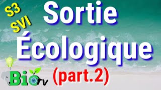 Sortie écologique s3  rappel  écosystème terrestre [upl. by Annij]