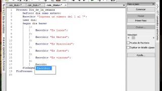 Estructura Selectiva multiple pseint [upl. by Laddy]